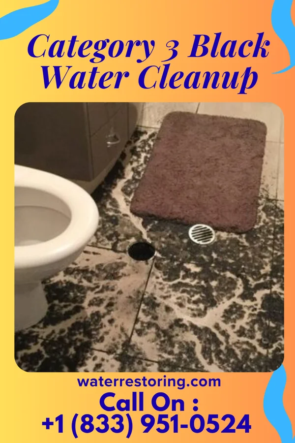 Category 3 Black Water Cleanup in Six Shooter Canyon, AZ
